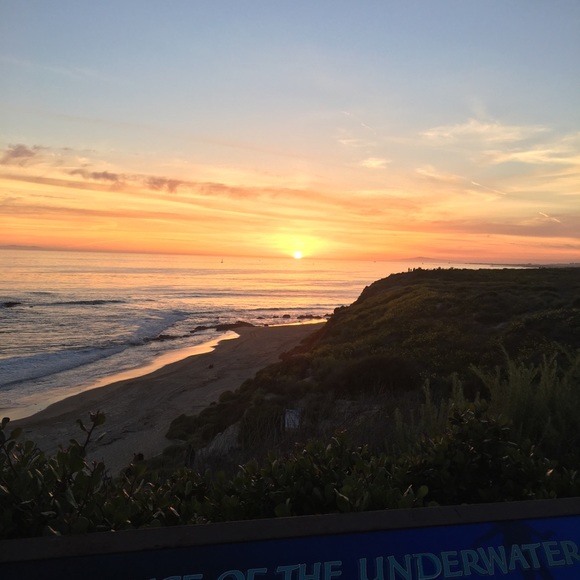 Meet your Posher, Anna - Picture 1 of 1